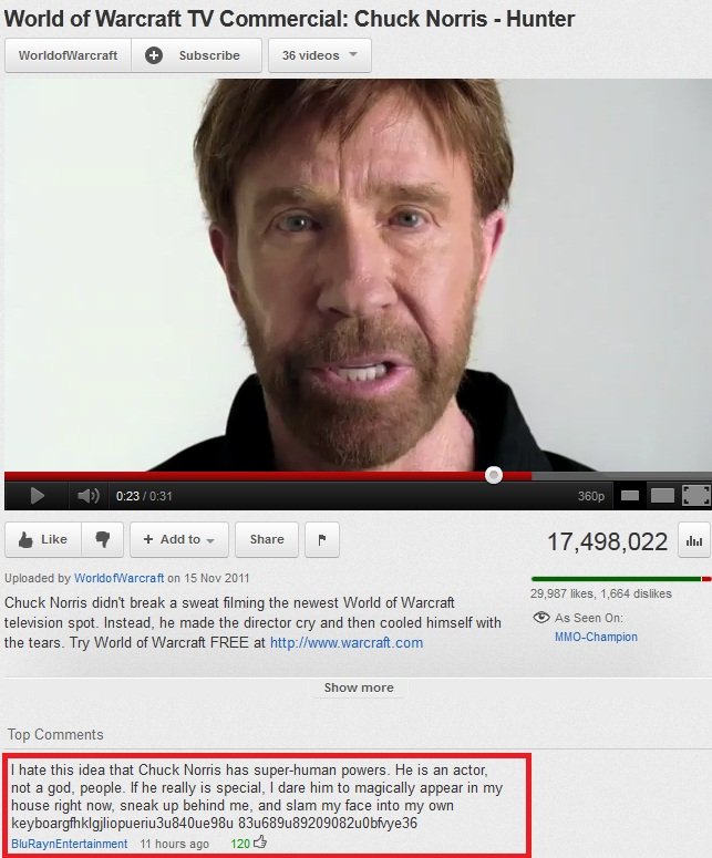 wow_commercial_chuck_norris_comment.jpg
