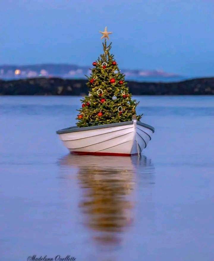 merry_sailing_christmas.jpg