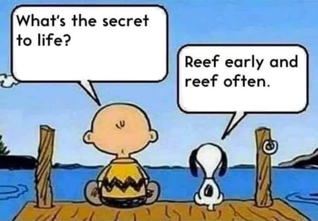 reef_early_and_reef_often.jpg
