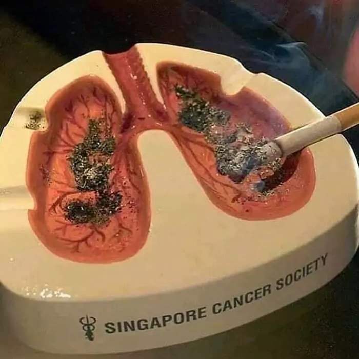 singapore_cancer_society_ashtray.jpg