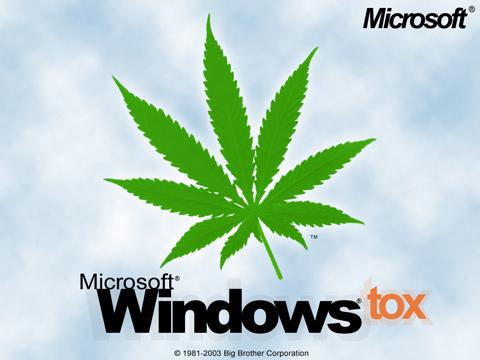 windows_tox.jpg