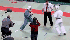 Karate-fight-referee.gif