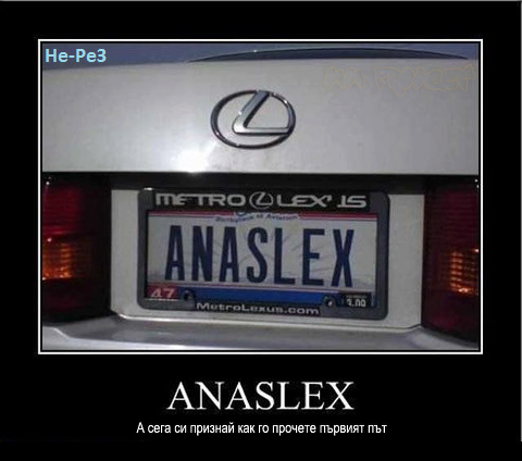 anaslex.png
