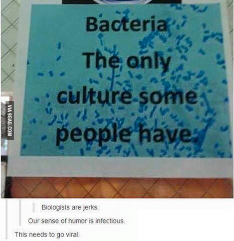 bacteria-the_only_culture.jpg