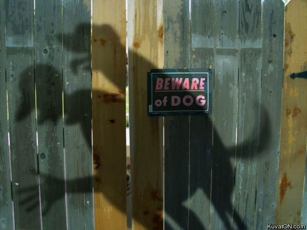 beware_of_dog.jpg