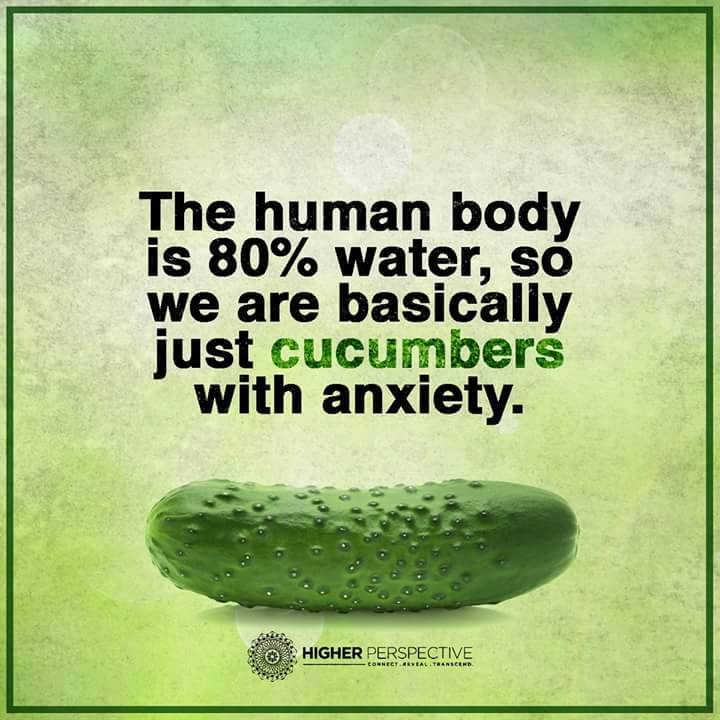 cucumbers_with_anxiety.jpg