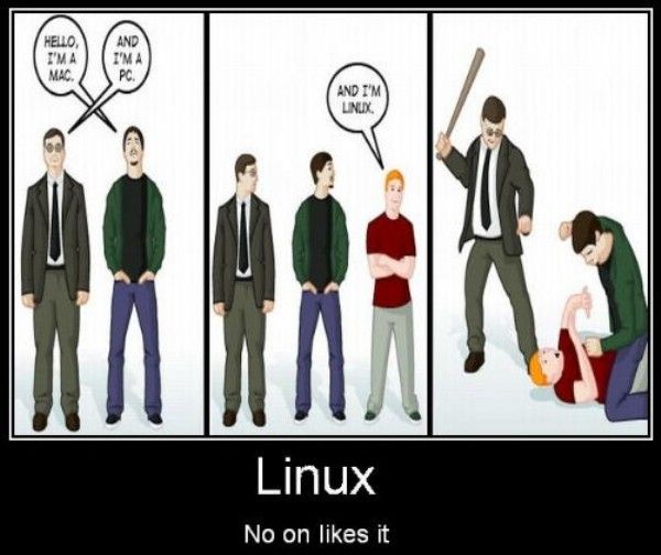 Nobody_Likes_Linux-pochti.jpg