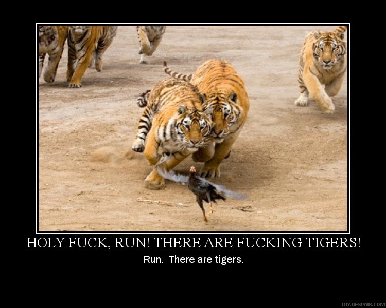 Run_there_are_tigers.jpg