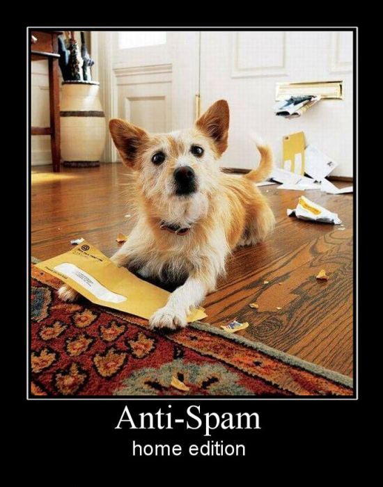 anti-spam_home_edition.jpg