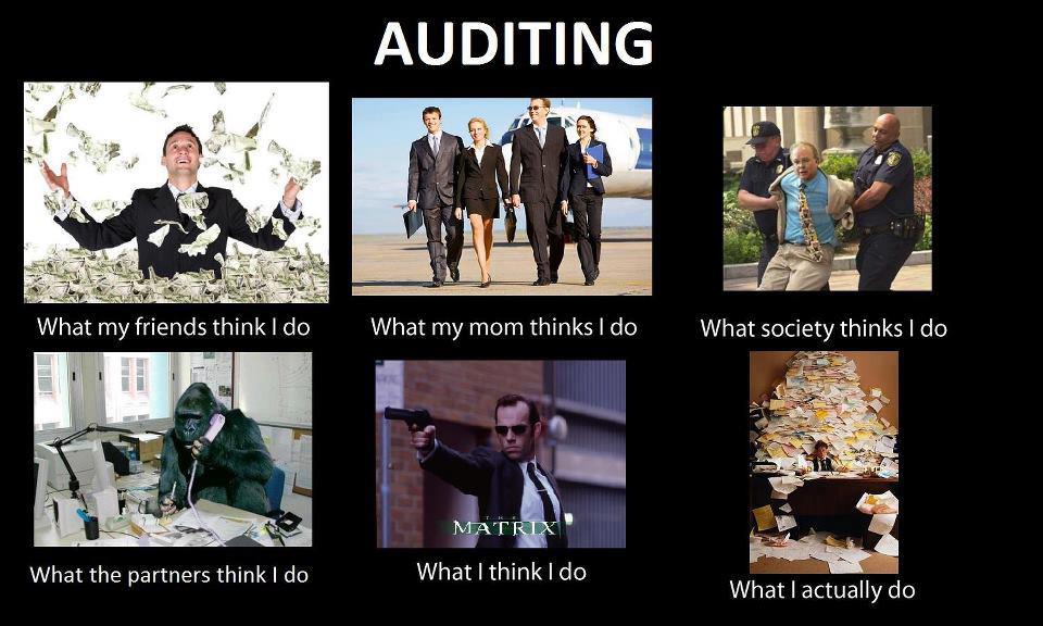 auditing_pov.jpg