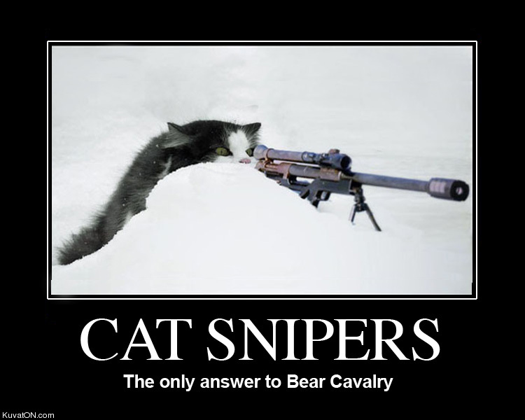 cat_snipers.jpg