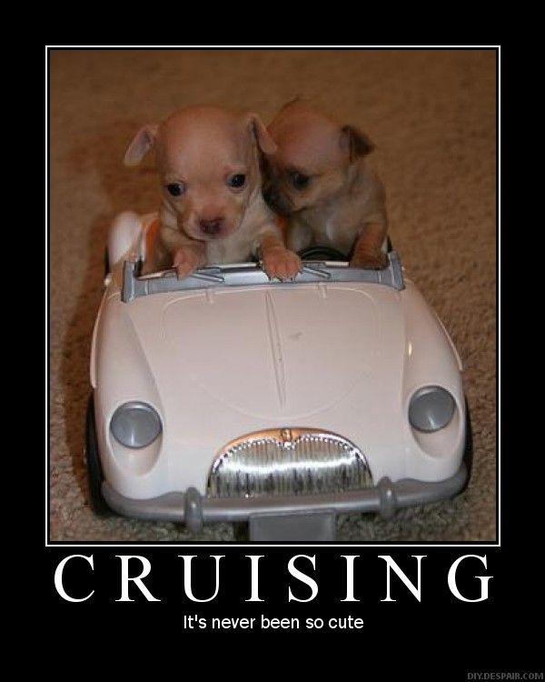 cruising.jpg