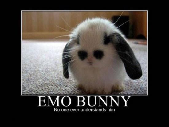 emo_bunny.jpg