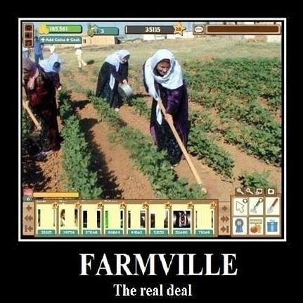 farmville-the_real_deal.jpg
