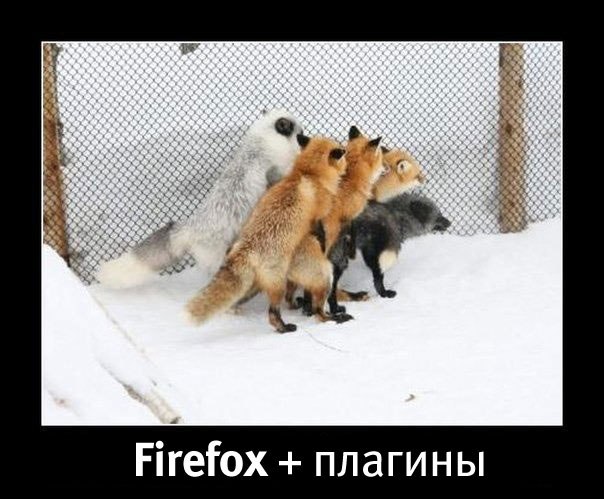 firefox_and_plugins.jpg