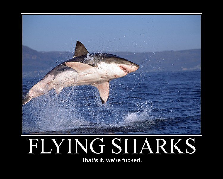 flying_sharks.jpg