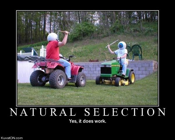 natural_selection.jpg
