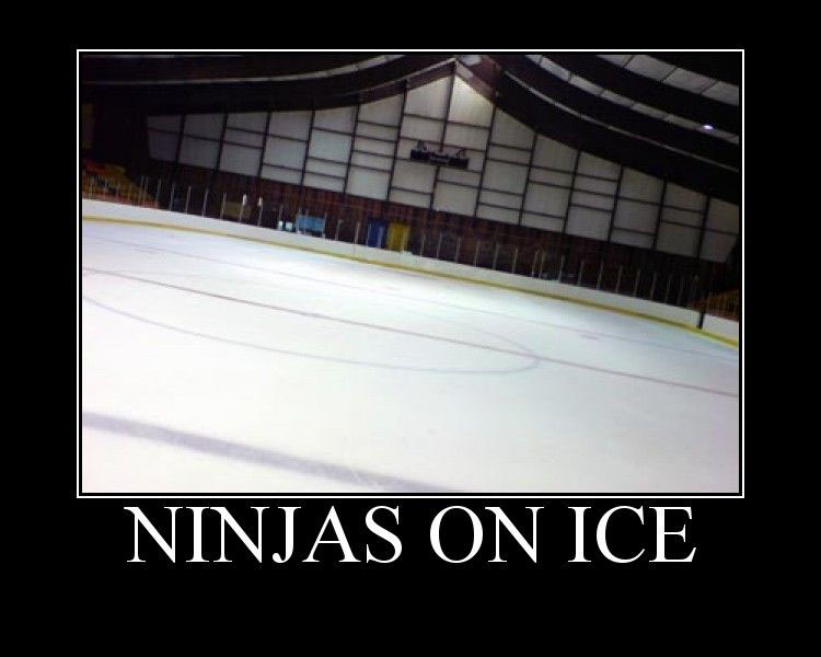 ninjas_on_ice-there_are_hundreds_of_them.jpg