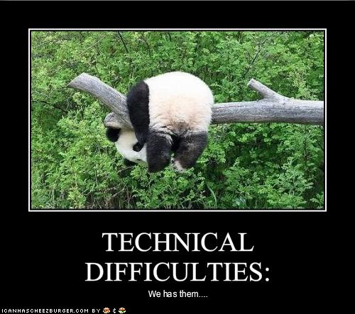 panda-has-technical-difficulties.jpg