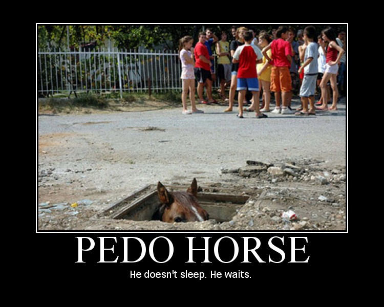 pedo_horse.jpg