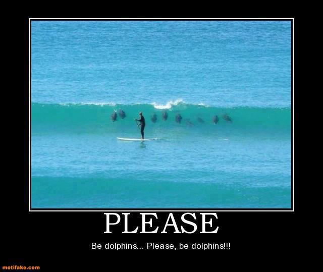 please_be_dolphins.jpg