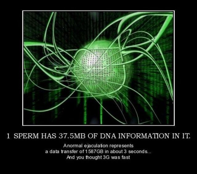 sperm_data.jpg