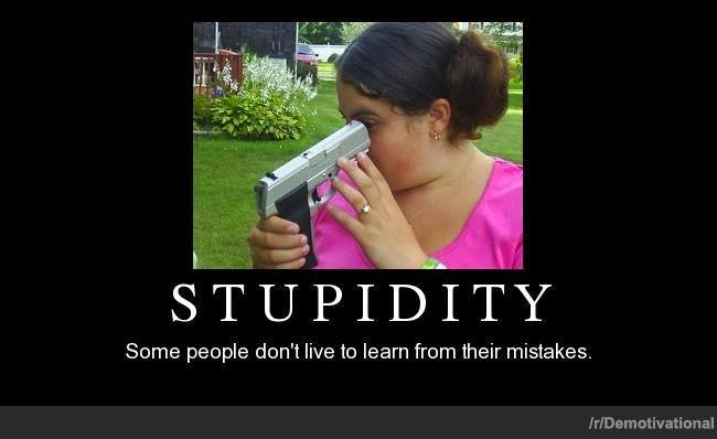 stupidity2.jpg