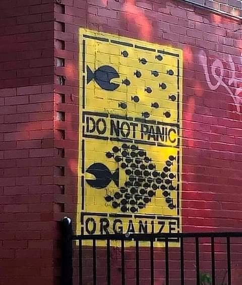 do_not_panic_-_organize.jpg