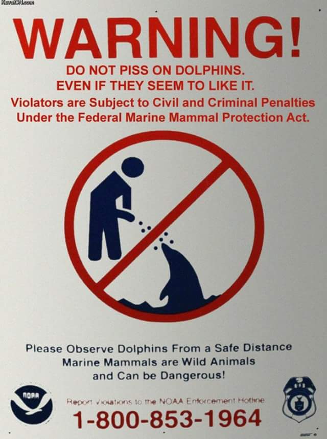 do_not_piss_on_dolphins.jpg