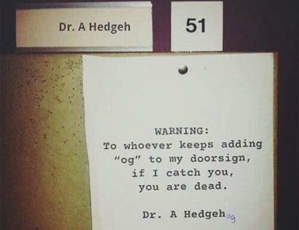 doctor_hedgeh.jpg