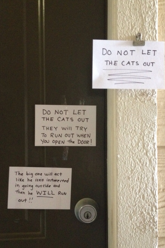 dont_let_the_cats_out.jpg