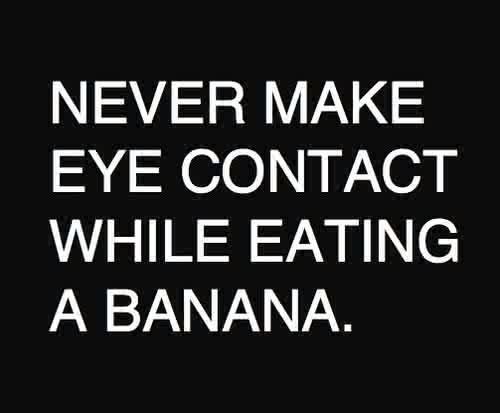 eye_contact_and_bananas.jpg