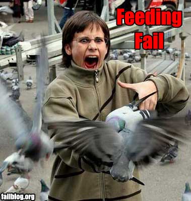feeding_fail.jpg