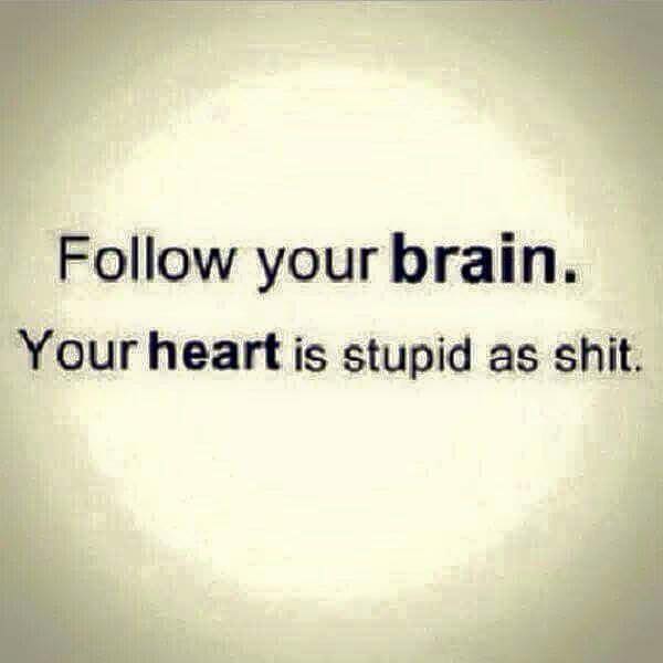 follow_your_brain.jpg