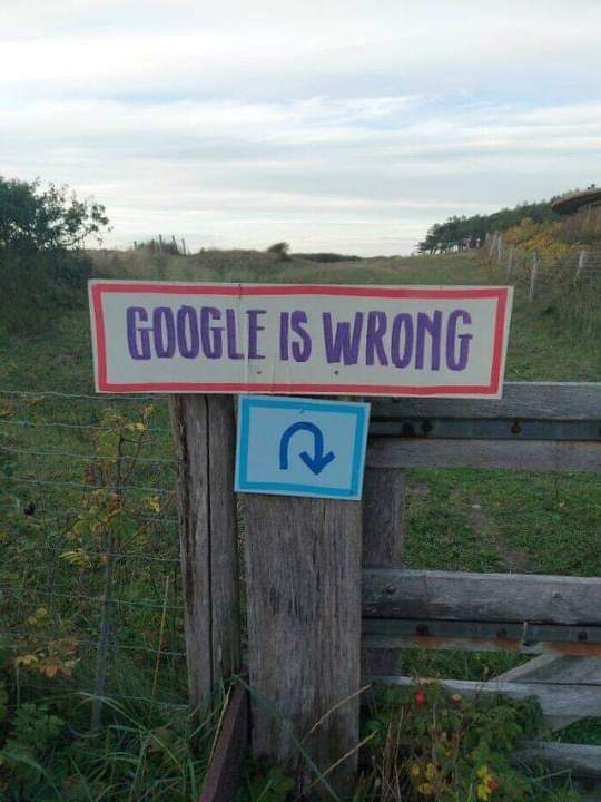 google_is_wrong.jpg