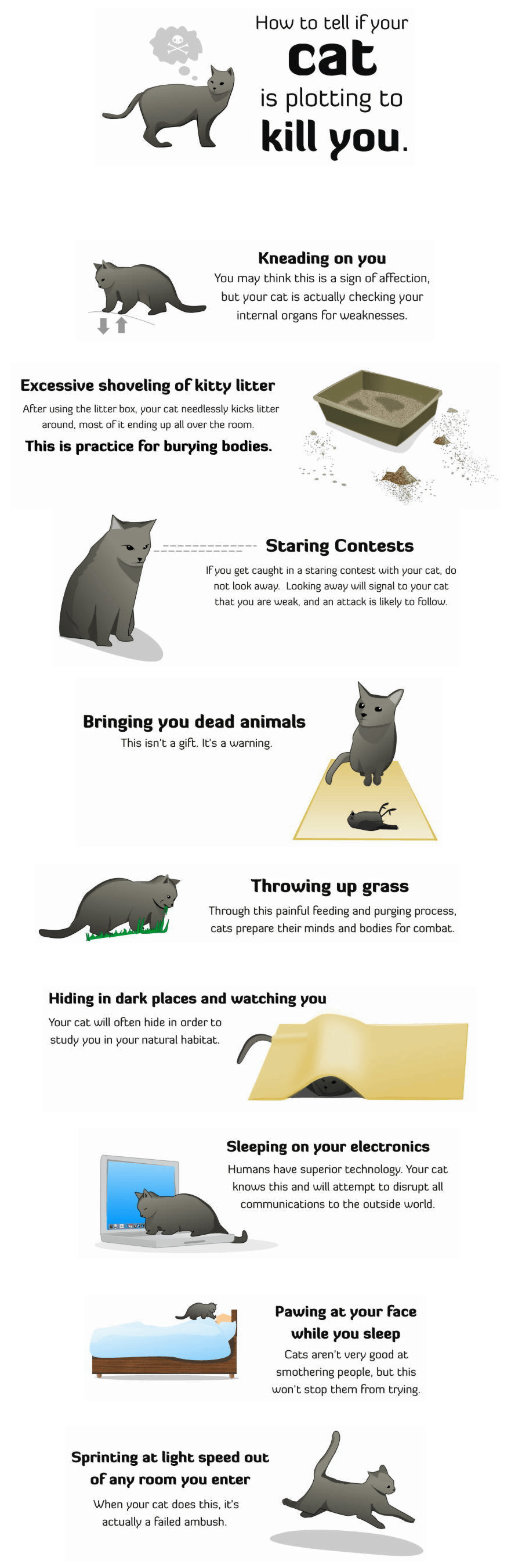 if_your_cat_is_plottng_to_kill_you.jpg