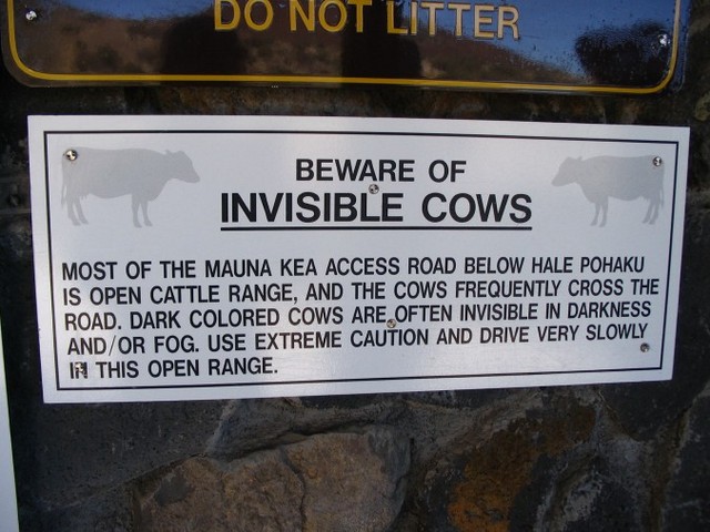 invisible_cows.jpg