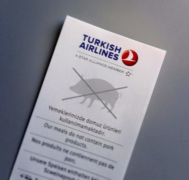jalko_iskah_pyrjolka_turkish_airlines.jpg