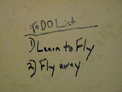 learn_to_fly-fly_away.jpg