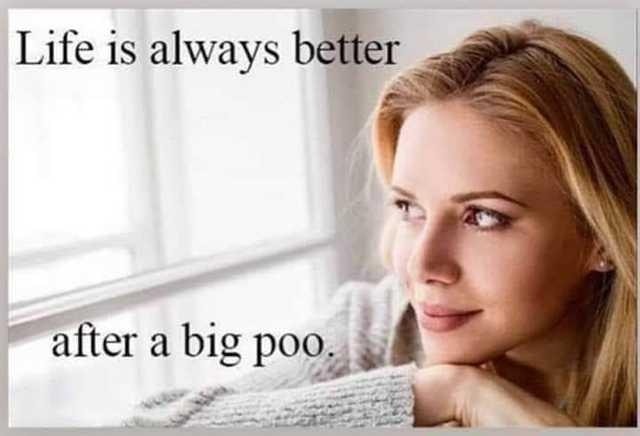 life_is_always_better_after_a_big_poo.jpg