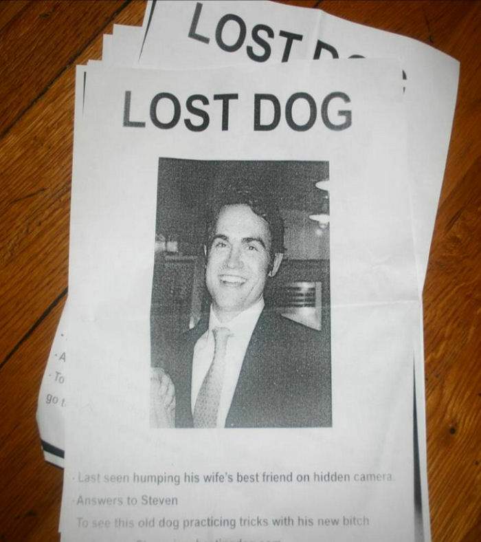 lost_dog.jpg