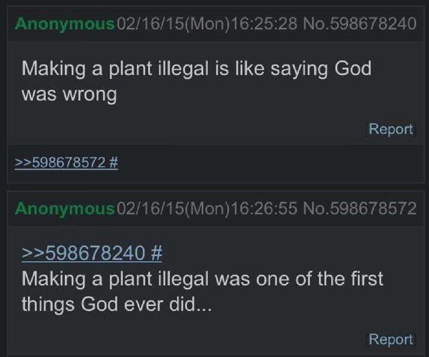 making_a_plant_illegal.jpg