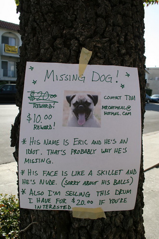 missing_dog.jpg