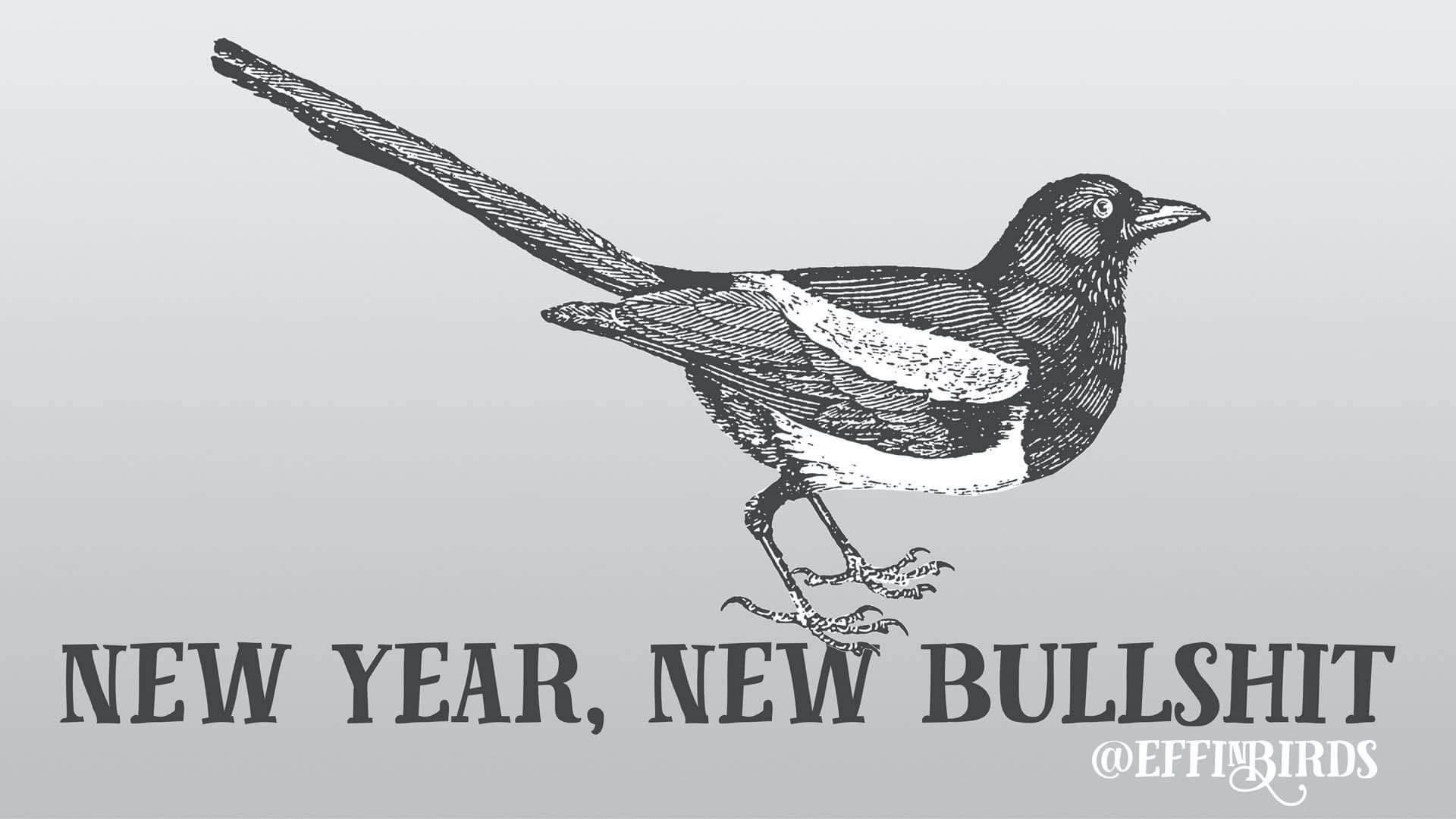 new_year_new_bullshit.jpg