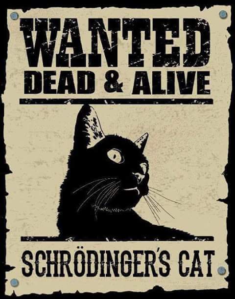 schroedingers_cat_death_and_alive.jpg