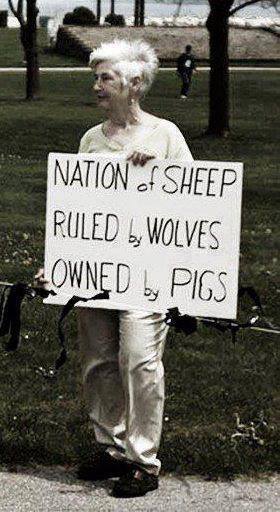 sheep_wolves_pigs.jpg