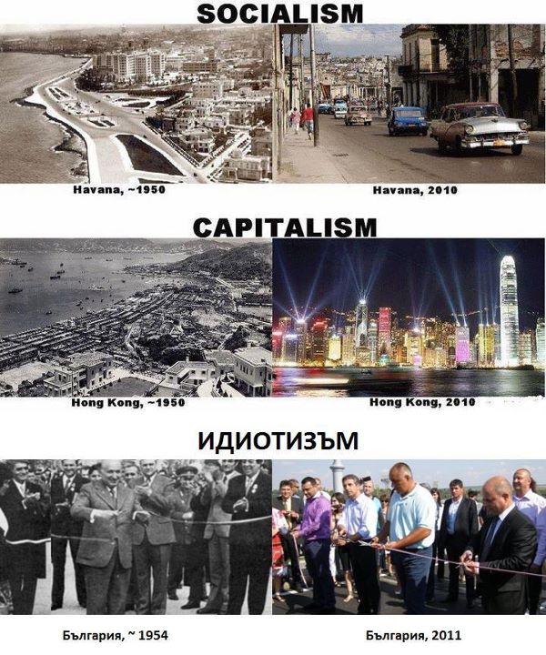 socialism_capitalism_idiotism.jpg