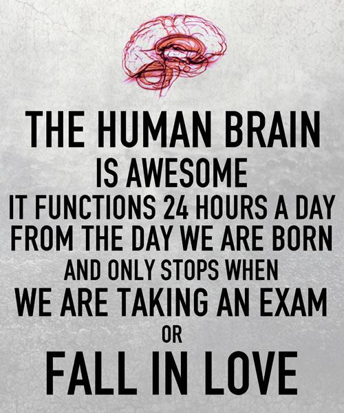 the_human_brain.jpg