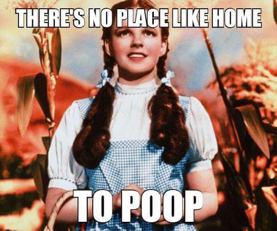 there_is_no_place_like_home_to_poop.jpg