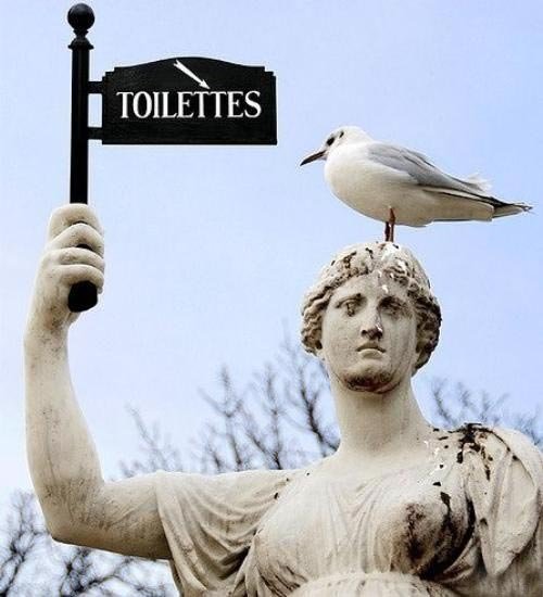 toilettes.jpg